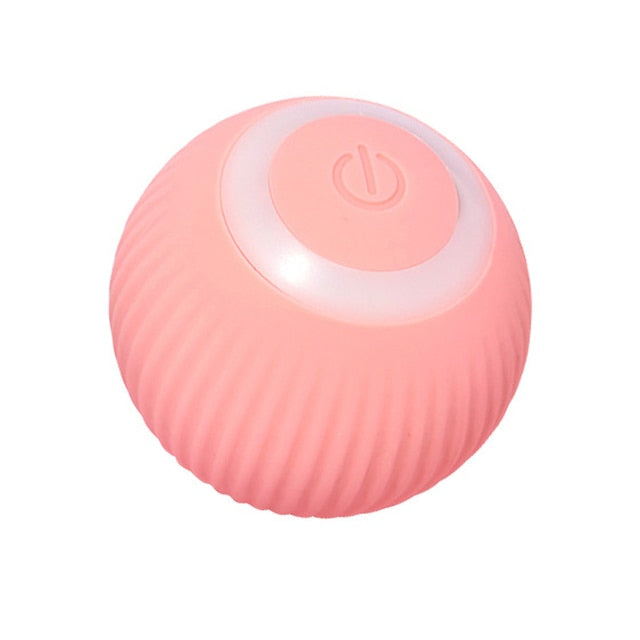 -moving Kitten Toys