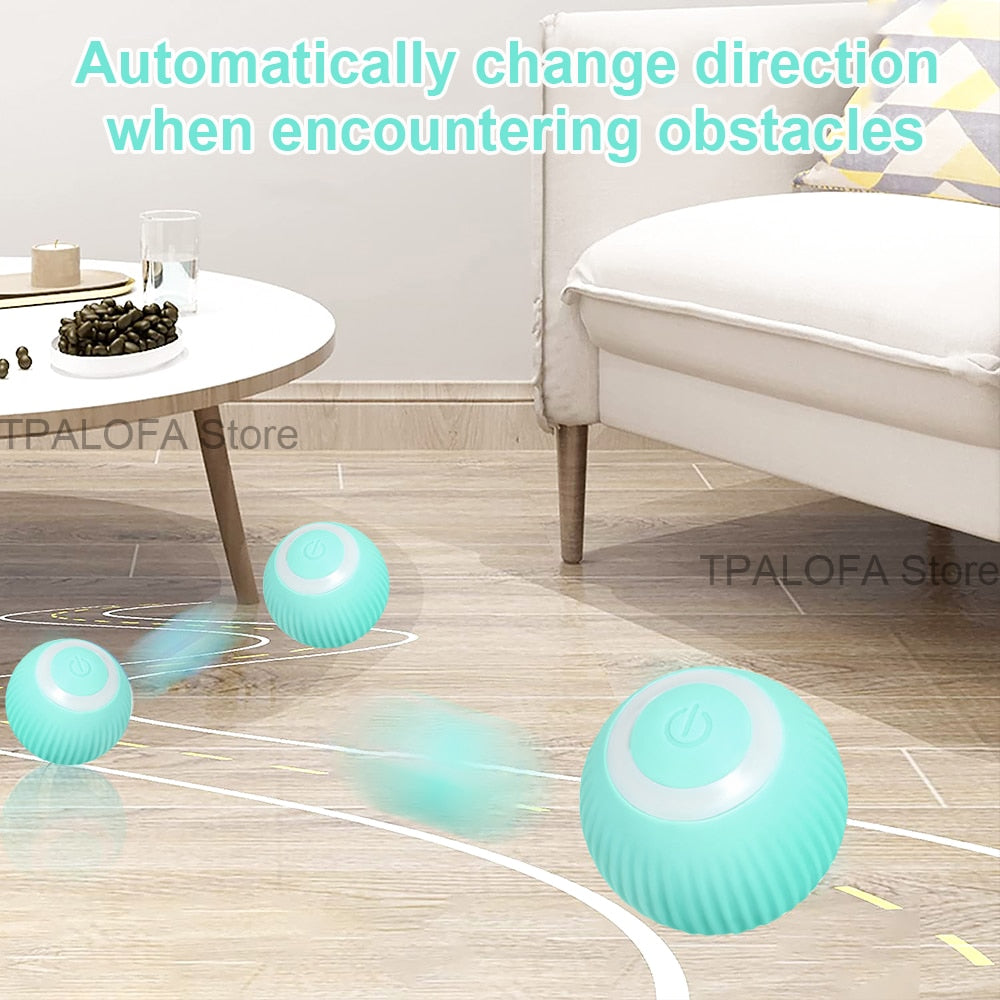 -moving Kitten Toys