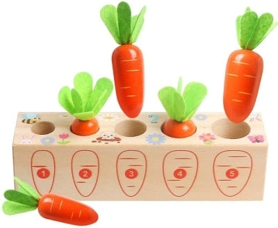 Wooden Toys