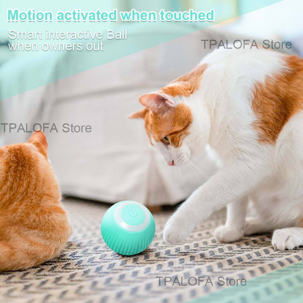 -moving Kitten Toys